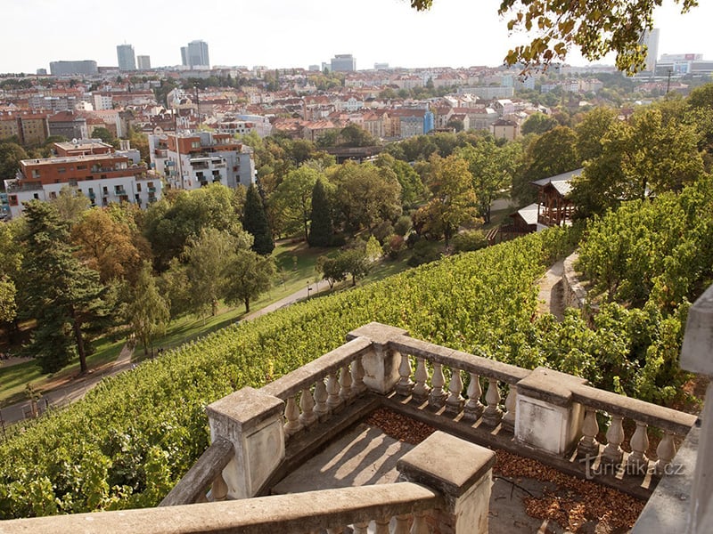 Beautiful parks and local area